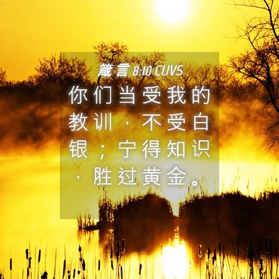 Picture 04 - 箴 言 8:10 CUVS - 你 们 当 受 我 的 教 训 ， 不 受 白 - Bible Verse Picture