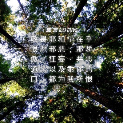 Picture 04 - 箴 言 8:13 CUVS - 敬 畏 耶 和 华 在 乎 恨 恶 邪 恶 ； - Bible Verse Picture