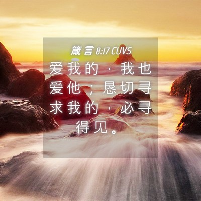 Picture 04 - 箴 言 8:17 CUVS - 爱 我 的 ， 我 也 爱 他 ； 恳 切 寻 - Bible Verse Picture