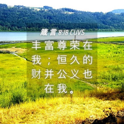 Picture 04 - 箴 言 8:18 CUVS - 丰 富 尊 荣 在 我 ； 恒 久 的 财 并 - Bible Verse Picture
