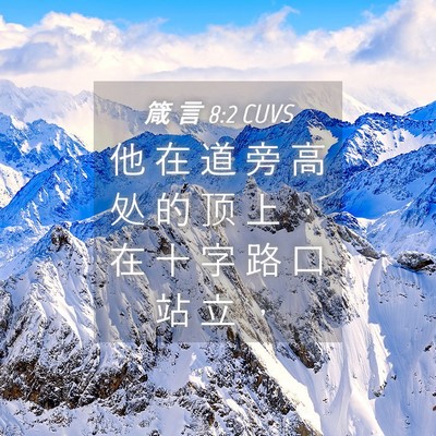 Picture 04 - 箴 言 8:2 CUVS - 他 在 道 旁 高 处 的 顶 上 ， 在 十 - Bible Verse Picture