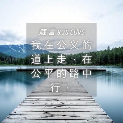Picture 04 - 箴 言 8:20 CUVS - 我 在 公 义 的 道 上 走 ， 在 公 平 - Bible Verse Picture