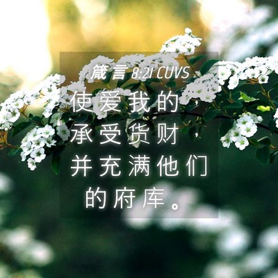 Picture 04 - 箴 言 8:21 CUVS - 使 爱 我 的 ， 承 受 货 财 ， 并 充 - Bible Verse Picture