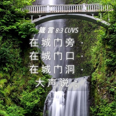 Picture 04 - 箴 言 8:3 CUVS - 在 城 门 旁 ， 在 城 门 口 ， 在 城 - Bible Verse Picture