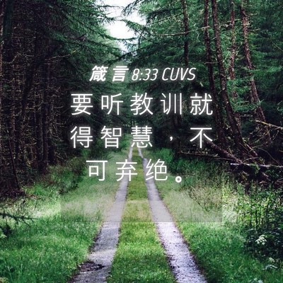 Picture 04 - 箴 言 8:33 CUVS - 要 听 教 训 就 得 智 慧 ， 不 可 弃 - Bible Verse Picture