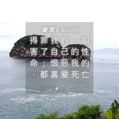 Picture 04 - 箴 言 8:36 CUVS - 得 罪 我 的 ， 却 害 了 自 己 的 性 - Bible Verse Picture