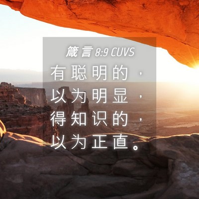 Picture 04 - 箴 言 8:9 CUVS - 有 聪 明 的 ， 以 为 明 显 ， 得 知 - Bible Verse Picture