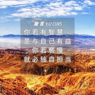 Picture 04 - 箴 言 9:12 CUVS - 你 若 有 智 慧 ， 是 与 自 己 有 益 - Bible Verse Picture