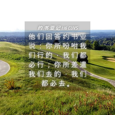 Picture 04 - 约 书 亚 记 1:16 CUVS - 他 们 回 答 约 书 亚 说 ： 你 所 吩 - Bible Verse Picture