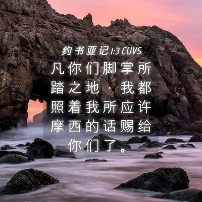 Picture 04 - 约 书 亚 记 1:3 CUVS - 凡 你 们 脚 掌 所 踏 之 地 ， 我 都 - Bible Verse Picture