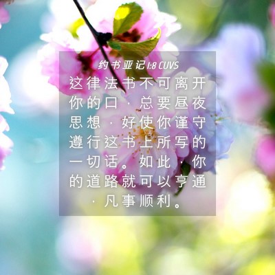Picture 04 - 约 书 亚 记 1:8 CUVS - 这 律 法 书 不 可 离 开 你 的 口 ， - Bible Verse Picture