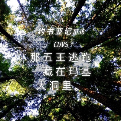 Picture 04 - 约 书 亚 记 10:16 CUVS - 那 五 王 逃 跑 ， 藏 在 玛 基 大 洞 - Bible Verse Picture