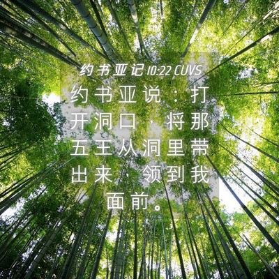 Picture 04 - 约 书 亚 记 10:22 CUVS - 约 书 亚 说 ： 打 开 洞 口 ， 将 那 - Bible Verse Picture