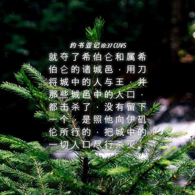 Picture 04 - 约 书 亚 记 10:37 CUVS - 就 夺 了 希 伯 仑 和 属 希 伯 仑 的 - Bible Verse Picture