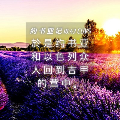 Picture 04 - 约 书 亚 记 10:43 CUVS - 於 是 约 书 亚 和 以 色 列 众 人 回 - Bible Verse Picture