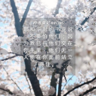 Picture 04 - 约 书 亚 记 10:8 CUVS - 耶 和 华 对 约 书 亚 说 ： 不 要 怕 - Bible Verse Picture
