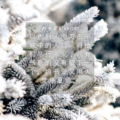 Picture 04 - 约 书 亚 记 11:11 CUVS - 以 色 列 人 用 刀 击 杀 城 中 的 人 - Bible Verse Picture