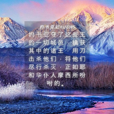 Picture 04 - 约 书 亚 记 11:12 CUVS - 约 书 亚 夺 了 这 些 王 的 一 切 城 - Bible Verse Picture