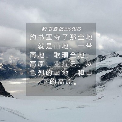 Picture 04 - 约 书 亚 记 11:16 CUVS - 约 书 亚 夺 了 那 全 地 ， 就 是 山 - Bible Verse Picture