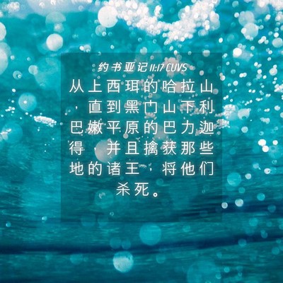 Picture 04 - 约 书 亚 记 11:17 CUVS - 从 上 西 珥 的 哈 拉 山 ， 直 到 黑 - Bible Verse Picture