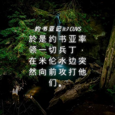 Picture 04 - 约 书 亚 记 11:7 CUVS - 於 是 约 书 亚 率 领 一 切 兵 丁 ， - Bible Verse Picture