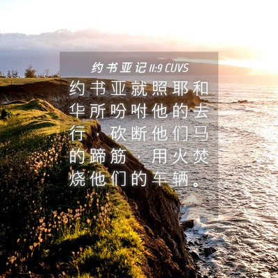 Picture 04 - 约 书 亚 记 11:9 CUVS - 约 书 亚 就 照 耶 和 华 所 吩 咐 他 - Bible Verse Picture