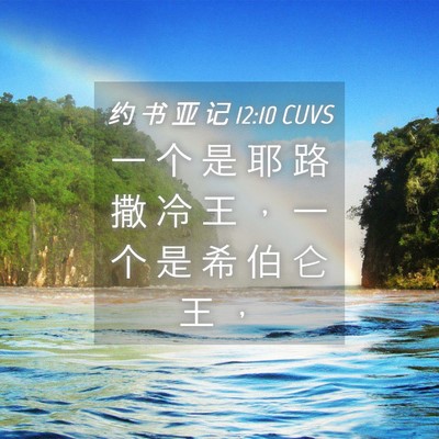 Picture 04 - 约 书 亚 记 12:10 CUVS - 一 个 是 耶 路 撒 冷 王 ， 一 个 是 - Bible Verse Picture