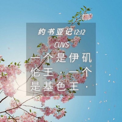 Picture 04 - 约 书 亚 记 12:12 CUVS - 一 个 是 伊 矶 伦 王 ， 一 个 是 基 - Bible Verse Picture
