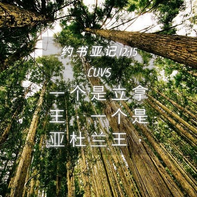 Picture 04 - 约 书 亚 记 12:15 CUVS - 一 个 是 立 拿 王 ， 一 个 是 亚 杜 - Bible Verse Picture