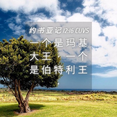 Picture 04 - 约 书 亚 记 12:16 CUVS - 一 个 是 玛 基 大 王 ， 一 个 是 伯 - Bible Verse Picture