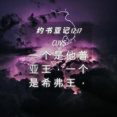 Picture 04 - 约 书 亚 记 12:17 CUVS - 一 个 是 他 普 亚 王 ， 一 个 是 希 - Bible Verse Picture