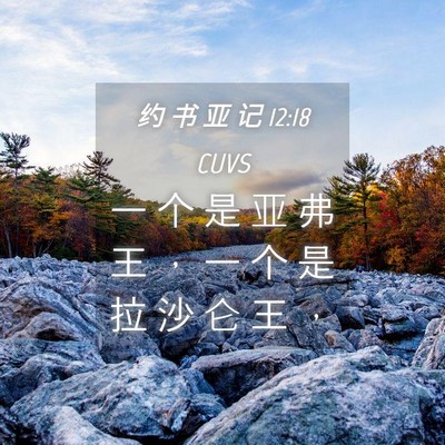 Picture 04 - 约 书 亚 记 12:18 CUVS - 一 个 是 亚 弗 王 ， 一 个 是 拉 沙 - Bible Verse Picture