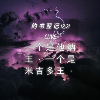 Picture 04 - 约 书 亚 记 12:21 CUVS - 一 个 是 他 纳 王 ， 一 个 是 米 吉 - Bible Verse Picture