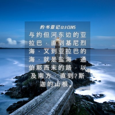 Picture 04 - 约 书 亚 记 12:3 CUVS - 与 约 但 河 东 边 的 亚 拉 巴 ， 直 - Bible Verse Picture