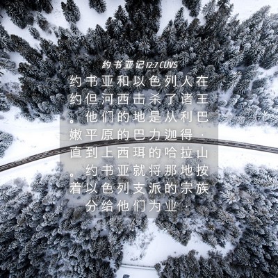 Picture 04 - 约 书 亚 记 12:7 CUVS - 约 书 亚 和 以 色 列 人 在 约 但 河 - Bible Verse Picture