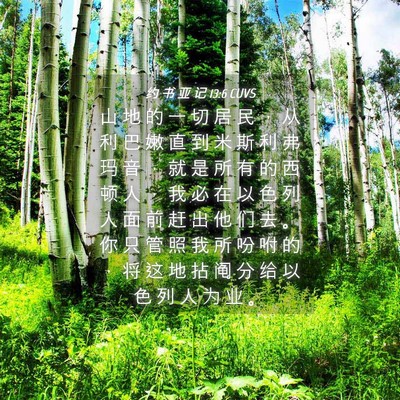 Picture 04 - 约 书 亚 记 13:6 CUVS - 山 地 的 一 切 居 民 ， 从 利 巴 嫩 - Bible Verse Picture