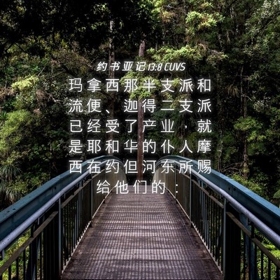 Picture 04 - 约 书 亚 记 13:8 CUVS - 玛 拿 西 那 半 支 派 和 流 便 、 迦 - Bible Verse Picture