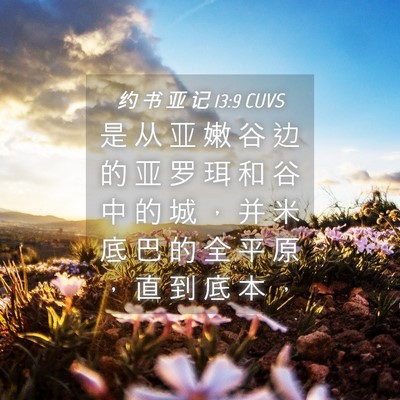 Picture 04 - 约 书 亚 记 13:9 CUVS - 是 从 亚 嫩 谷 边 的 亚 罗 珥 和 谷 - Bible Verse Picture