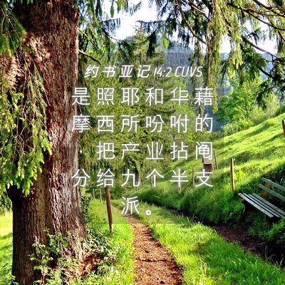 Picture 04 - 约 书 亚 记 14:2 CUVS - 是 照 耶 和 华 藉 摩 西 所 吩 咐 的 - Bible Verse Picture