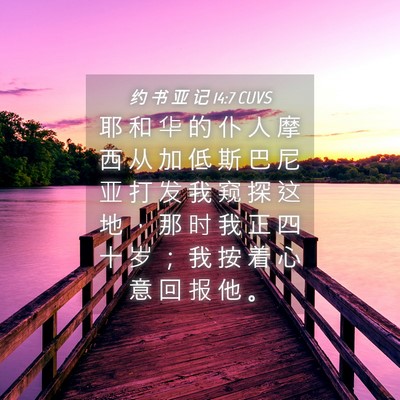 Picture 04 - 约 书 亚 记 14:7 CUVS - 耶 和 华 的 仆 人 摩 西 从 加 低 斯 - Bible Verse Picture