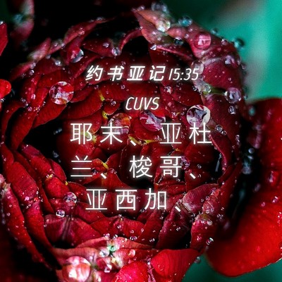Picture 04 - 约 书 亚 记 15:35 CUVS - 耶 末 、 亚 杜 兰 、 梭 哥 、 亚 西 - Bible Verse Picture