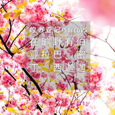 Picture 04 - 约 书 亚 记 15:61 CUVS - 在 旷 野 有 伯 亚 拉 巴 、 密 丁 、 - Bible Verse Picture