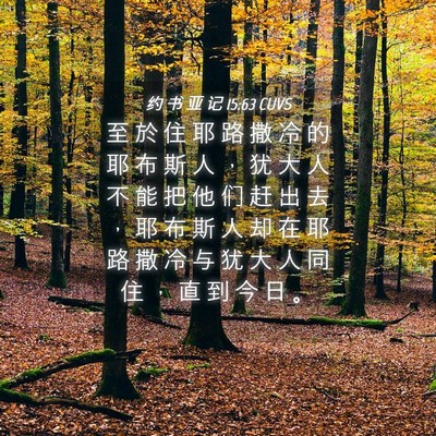 Picture 04 - 约 书 亚 记 15:63 CUVS - 至 於 住 耶 路 撒 冷 的 耶 布 斯 人 - Bible Verse Picture