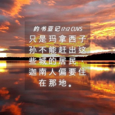 Picture 04 - 约 书 亚 记 17:12 CUVS - 只 是 玛 拿 西 子 孙 不 能 赶 出 这 - Bible Verse Picture