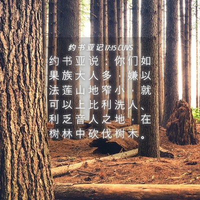 Picture 04 - 约 书 亚 记 17:15 CUVS - 约 书 亚 说 ： 你 们 如 果 族 大 人 - Bible Verse Picture