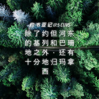 Picture 04 - 约 书 亚 记 17:5 CUVS - 除 了 约 但 河 东 的 基 列 和 巴 珊 - Bible Verse Picture
