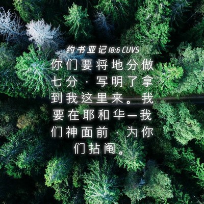 Picture 04 - 约 书 亚 记 18:6 CUVS - 你 们 要 将 地 分 做 七 分 ， 写 明 - Bible Verse Picture