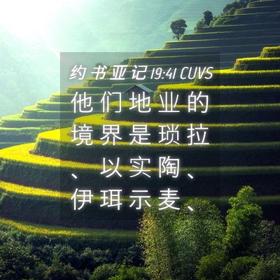 Picture 04 - 约 书 亚 记 19:41 CUVS - 他 们 地 业 的 境 界 是 琐 拉 、 以 - Bible Verse Picture