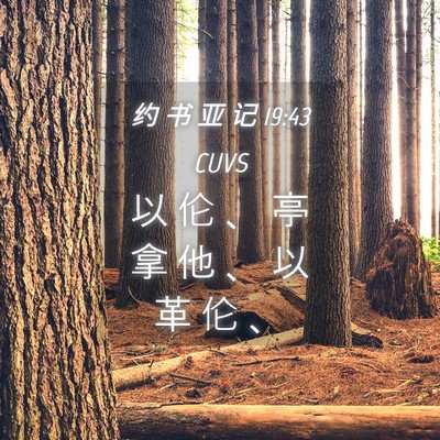 Picture 04 - 约 书 亚 记 19:43 CUVS - 以 伦 、 亭 拿 他 、 以 革 伦 - Bible Verse Picture
