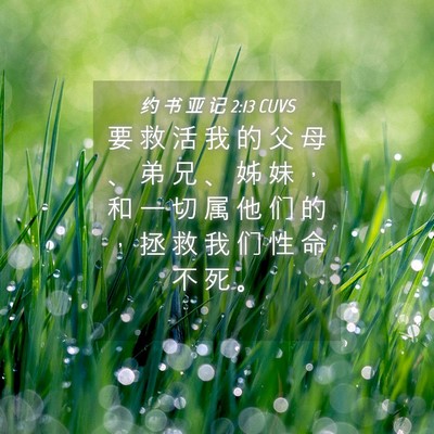 Picture 04 - 约 书 亚 记 2:13 CUVS - 要 救 活 我 的 父 母 、 弟 兄 、 姊 - Bible Verse Picture